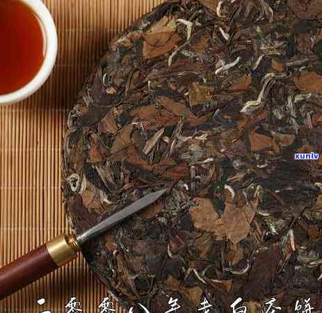 探索中国最古老的茶叶树种：起源、品种与排名