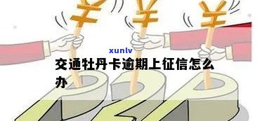 交通牡丹卡逾期五天会有什么结果？