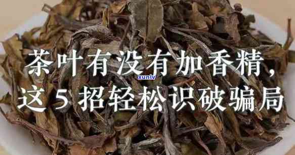 茶叶加香精怎样识别真假，如何通过香气辨别添加了香精的茶叶？