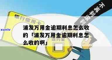 浦发万用金逾期利息多少，查询浦发万用金逾期利息，一站式解答！