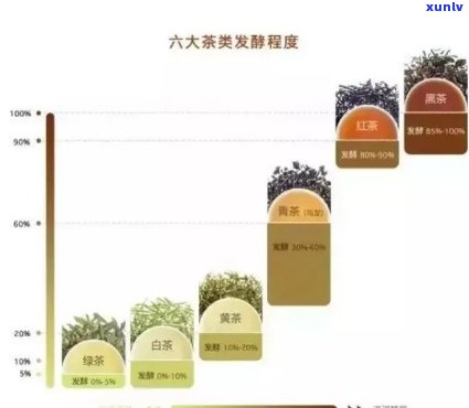 茶叶的发酵程度：含义解析