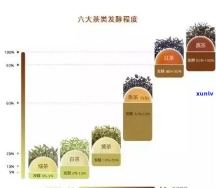 茶叶发酵程度不同：如何区分绿茶、乌龙茶和其他茶类？