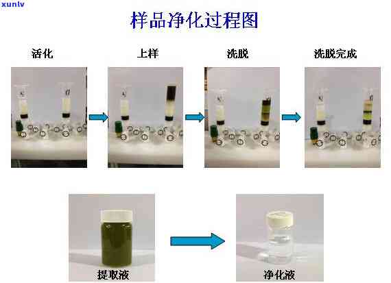 哪些茶叶农药残留多，警惕！这些茶叶农药残留多，购买时需谨选择