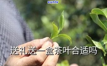 送茶叶是送一盒还是两盒，送茶叶：一盒还是两盒更合适？