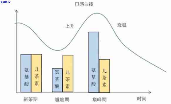 茶叶开始向世界传播的时间，探索茶叶的全球化历程：从何时开始向世界传播？