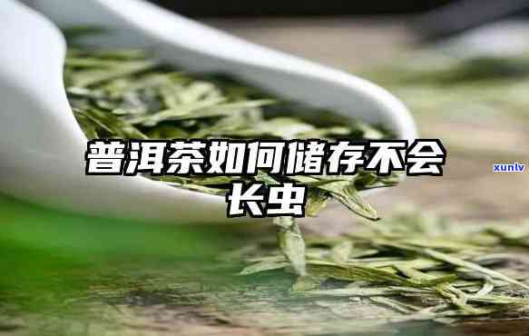 茶叶保管 *** 长虫不-茶叶存如何防虫