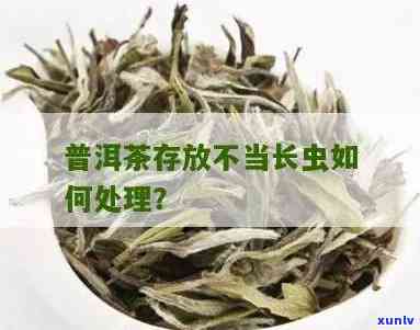 茶叶保管 *** 长虫不-茶叶存如何防虫