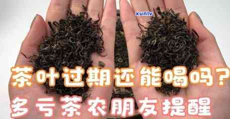 茶叶过期了可以喝不-茶叶过期了可以喝不