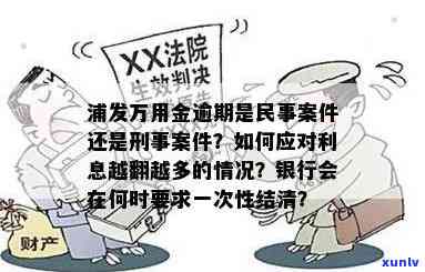 浦发万用金逾期：民事案件还是刑事案件？该如何处理？