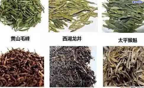 宜茶叶有哪些-宜茶叶有哪些好