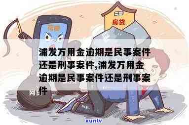 浦发万用金逾期是民事案件还是刑事案件，浦发万用金逾期：民事案件还是刑事案件？