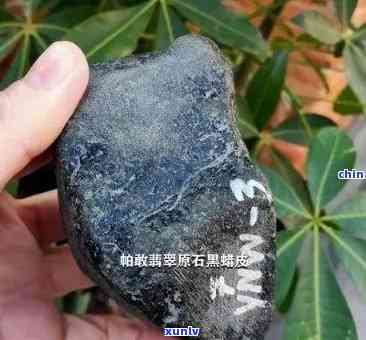 黑蜡皮原石特征-黑蜡皮原石特征是什么