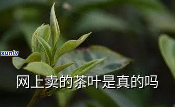  *** 上买茶叶靠谱不-在 *** 买茶叶