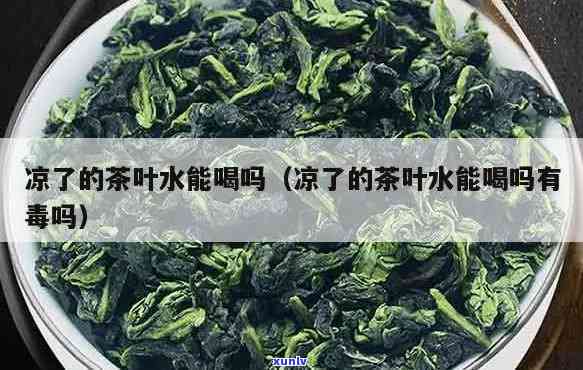 冷了的茶叶还能喝吗-冷了的茶叶还能喝吗有吗