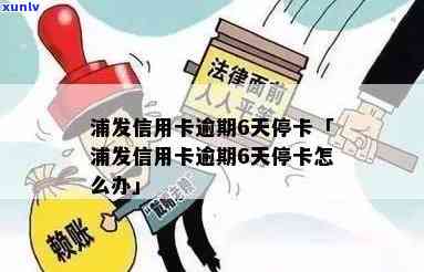 浦发逾期半个月封卡-浦发逾期半个月封卡了怎么办