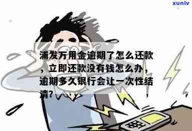 浦发万用金逾期了让立即还款不存在钱怎么办，浦发万用金逾期未还，无资金立即还款应怎样解决？