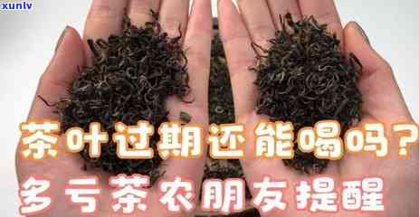 茶叶过期了还能喝不-茶叶过期了还能喝不能喝