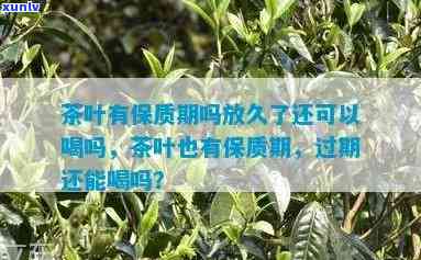 茶叶过期了还能喝不-茶叶过期了还能喝不能喝