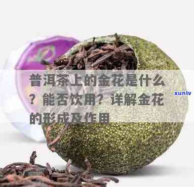 茶叶出现金花能喝不-茶叶有金花能喝吗