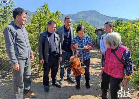 信用卡多次逾期显示：不良记录与逾期情况