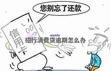 招商逾期会怎么样？全面解析招商金融贷款逾期影响