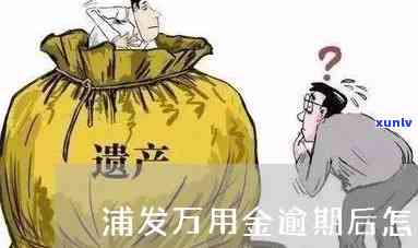 浦发万用金逾期呆账会怎样？解决  及结果解析