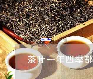 茶叶一年四都有吗-茶叶是一年四都有吗