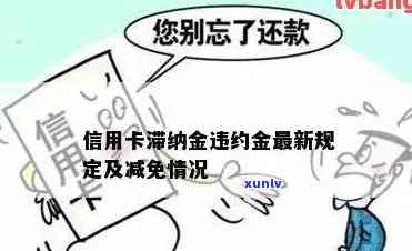 发逾期滞纳金减免政策最新消息