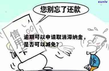 发逾期滞纳金减免多少？费用、期限全解答