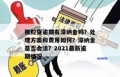 发逾期滞纳金减免多少？费用、期限全解答