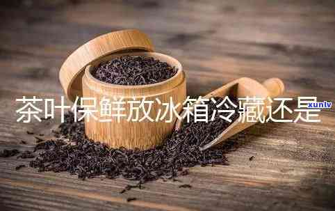 茶叶放冷冻还是冷藏保存？哪种方式更优？