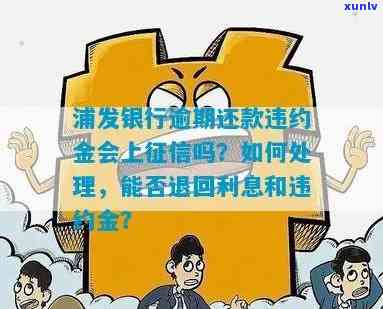 浦发银行逾期利息和违约金能退回来吗，浦发银行：逾期利息和违约金能否退还？