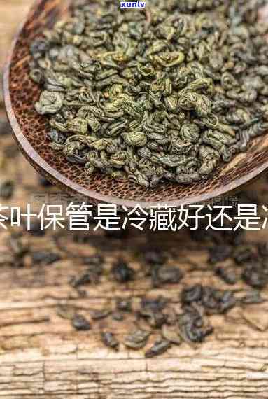 茶叶要冷冻还是冷藏保存？哪种方式更优？