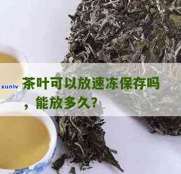 茶叶冷冻还是冷藏存：哪种方式更好？