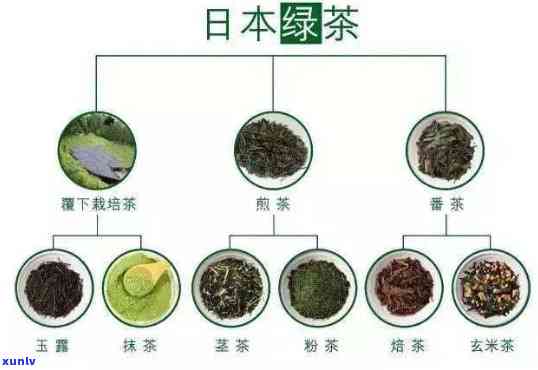 茶叶深加工技术-茶叶深加工技术有哪些