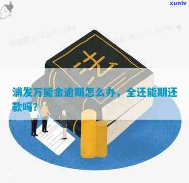 浦发万用金逾期能否申请减免？