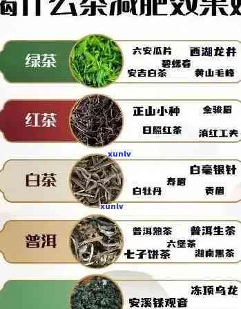 所有茶叶都可以减肥吗？探讨茶叶对体重的影响