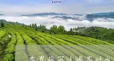 胃病可以喝茶叶水吗-有胃病能喝茶叶水吗