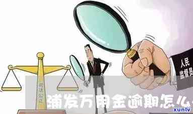 浦发万用金逾期方案查询，如何查询浦发万用金的逾期解决方案？