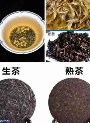 怎样知道茶叶的生熟-怎样知道茶叶的生熟呢