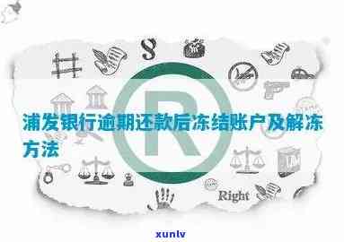 浦发银行卡逾期冻结后还款，怎样解冻账户？