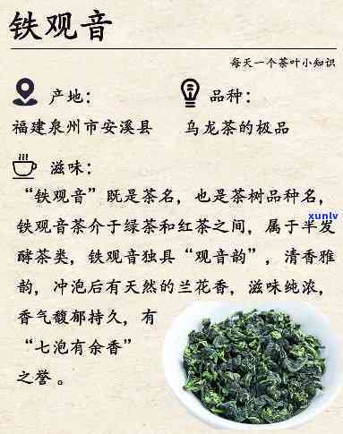 寻找听的香茶名字：有种茶叶叫什么？