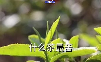 发苦的茶叶有哪些茶-发苦的茶叶有哪些茶名