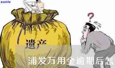 浦发万用金逾期解决办法全攻略：最新解决  与步骤