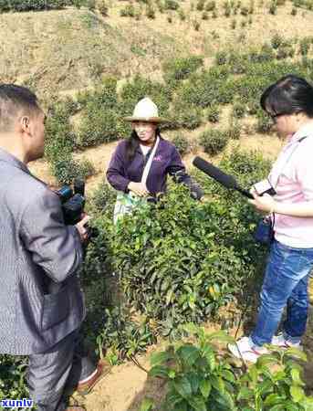 喝药了能喝茶叶水吗-喝药了能喝茶叶水吗女生