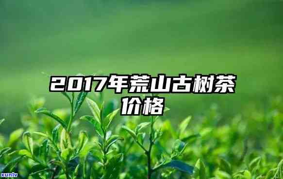 古劳茶山茶叶价格多少？购买渠道及价格信息