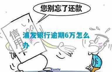 浦发逾期6万，浦发银行信用卡逾期6万元，该怎样解决？