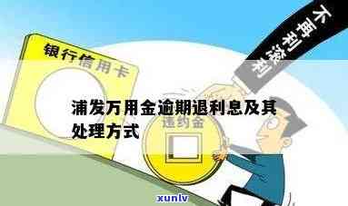 浦发银行逾期万用金能否采用及安全性疑问全解析