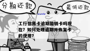 工商逾期被撤消用卡能否恢复采用？作用及解决办法全解析