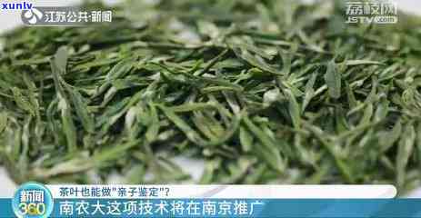 南京茶叶有哪些好？请推荐口碑好、质量优的产品